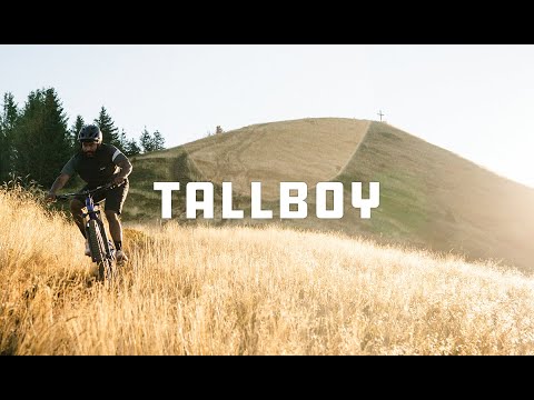 Santa Cruz Tallboy 5